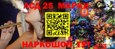 ПСИЛОЦИБИНОВЫЕ ГРИБЫ Новозыбков