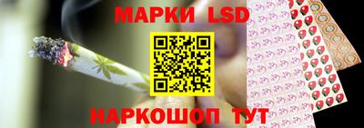 ПСИЛОЦИБИНОВЫЕ ГРИБЫ Новозыбков