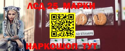 ПСИЛОЦИБИНОВЫЕ ГРИБЫ Новозыбков