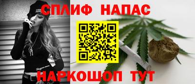 ПСИЛОЦИБИНОВЫЕ ГРИБЫ Новозыбков