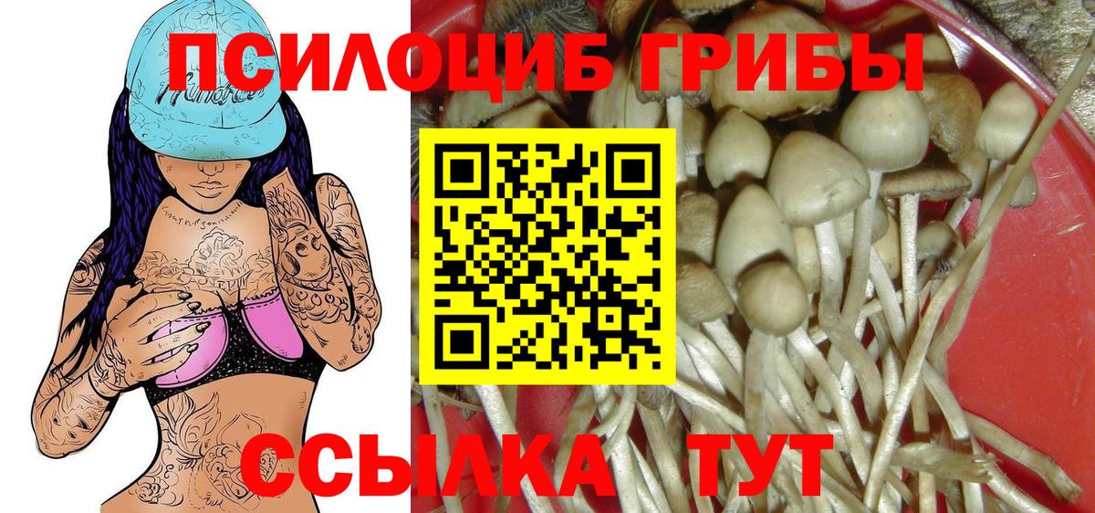 Галлюциногенные грибы мухоморы  Галлюциногенные грибы MAGIC MUSHROOMS  Долгопрудный  Вход с VPN 