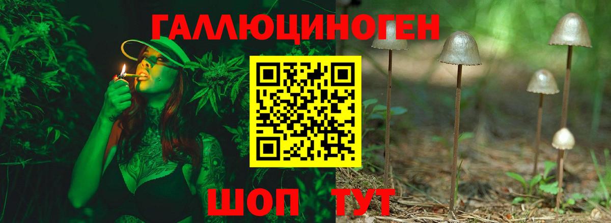 Псилоцибиновые грибы GOLDEN TEACHER Долгопрудный